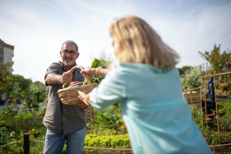 Señor dándole cesta con hortalizas recién recogidas de huerto urbano a una vecina